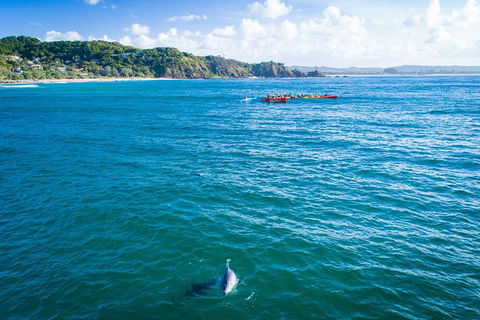 The Byron Bay Sea Kayak Tour - Taree Accommodation 2