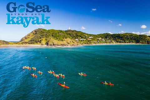 The Byron Bay Sea Kayak Tour - Taree Accommodation 3
