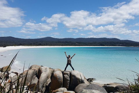 Tasmania 4 Day East Coast + Launceston - Taree Accommodation 1