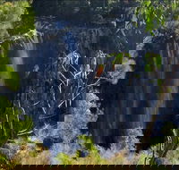 Byron Bay Hinterland Tour Including Rainforest Walk to Minyon Falls - Taree Accommodation