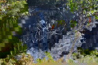 Byron Bay Hinterland Tour Including Rainforest Walk to Minyon Falls