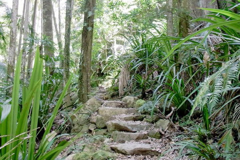 Byron Bay Combo: Hinterland Tour Including Minyon Falls And Kayaking With Dolphins - Taree Accommodation 5