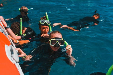 Whitehaven Beach And Hill Inlet Lookout Full-Day Snorkeling Cruise By High-Speed Catamaran - Taree Accommodation 3