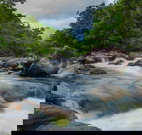 Cape Tribulation Day Tour - Taree Accommodation