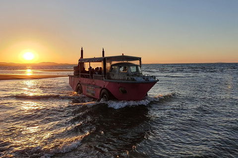 Town Of 1770 Afternoon Cruise - Taree Accommodation 3