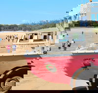 1770 Coastline Tour by LARC Amphibious Vehicle Including Picnic Lunch - Taree Accommodation