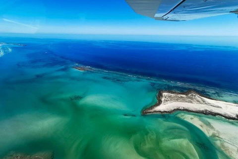 Wet Season Incredible Islands Tour - Horizontal Falls & Cygnet Bay Pearl Farm - Taree Accommodation 4