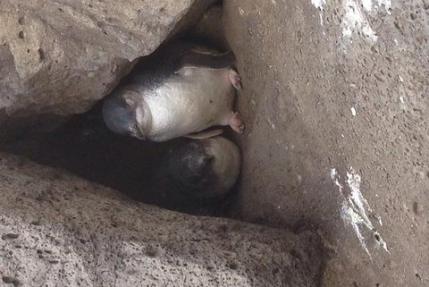 Food Tour Melbourne - St Kilda - Taree Accommodation 3