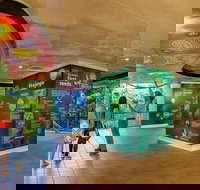 Skyrail  Kuranda Train Day Trip from Cairns - Taree Accommodation