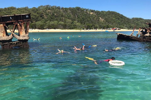 All Inclusive Dolphin And Tangalooma Wrecks Cruise - Taree Accommodation 0