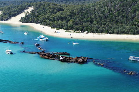 All Inclusive Dolphin And Tangalooma Wrecks Cruise - Taree Accommodation 4