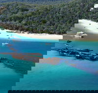 All Inclusive Tangalooma Wrecks Cruise Tour From Gold Coast - Taree Accommodation