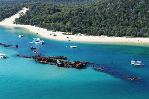 All Inclusive Tangalooma Wrecks Cruise Tour From Gold Coast - Taree Accommodation 0