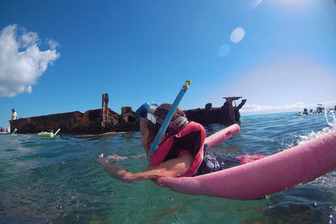 All Inclusive Tangalooma Wrecks Cruise Tour From Gold Coast - Taree Accommodation 3