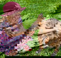 Kuranda Day Tour  HotAir Balloon Combo - Taree Accommodation