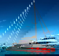 Passions of Paradise Great Barrier Reef Snorkel and Dive Cruise from Cairns by Luxury Catamaran - Taree Accommodation