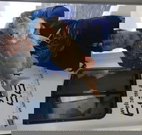 3/4 Day 7 Hour Offshore Fishing Charter - Taree Accommodation