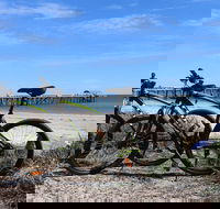 Adelaide City to Sea Bike Tour - Taree Accommodation