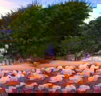 Byron Bay and the Crystal Castle Day Tour from Gold Coast - Taree Accommodation