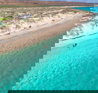 Ningaloo in a Day - Full Day Hike and Snorkel Tour with Lunch - Taree Accommodation