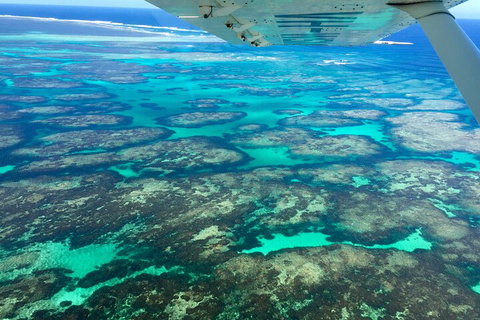Shipwreck Special Full Day Tour Of The Abrolhos Islands - Taree Accommodation 1