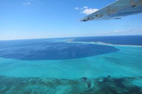 Shipwreck Special Full Day Tour Of The Abrolhos Islands - Taree Accommodation 2