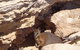 Shipwreck Special Full Day Tour Of The Abrolhos Islands - thumb 4
