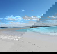 Shipwreck Special Nature Tour/Half Day Tour - Taree Accommodation