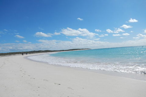 Shipwreck Special Nature Tour/Half Day Tour - Taree Accommodation 0