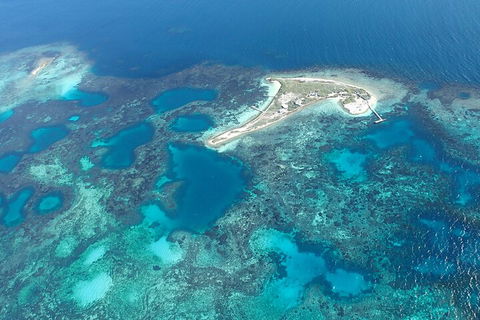 Shipwreck Special Nature Tour/Half Day Tour - Taree Accommodation 5