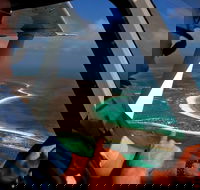 Abrolhos Islands Fixed-Wing Scenic Flight - Taree Accommodation