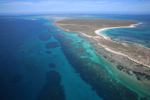 Pink Lake + Abrolhos Islands Scenic Flight - Taree Accommodation 0