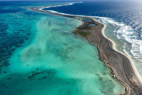 Pink Lake + Abrolhos Islands Scenic Flight - Taree Accommodation 3