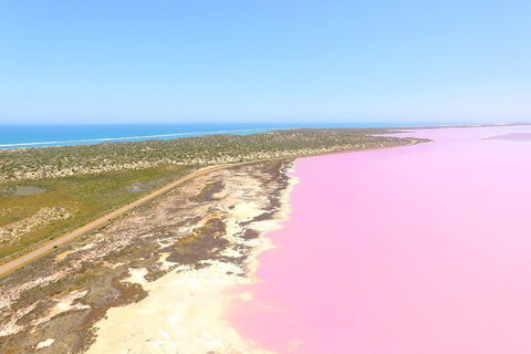 Pink Lake + Abrolhos Islands Scenic Flight - Taree Accommodation 4