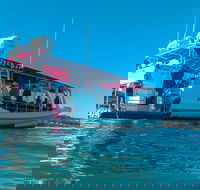 Best of Moreton Bay Cruise - Taree Accommodation