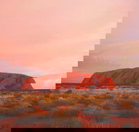2-Day Uluru Ayers Rock and Kata Tjuta Trip from Alice Springs - Taree Accommodation