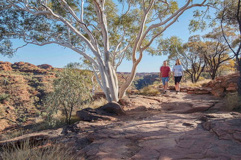 3-Day Tour From Uluru (Ayers Rock) To Alice Springs Via Kings Canyon - Taree Accommodation 1