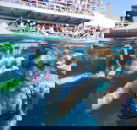 Great Barrier Reef Day Cruise from Cairns Including Snorkeling and Marine Biologist Presentation - Taree Accommodation