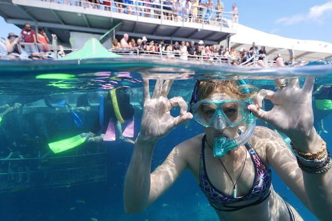 Great Barrier Reef Day Cruise From Cairns Including Snorkeling And Marine Biologist Presentation - Taree Accommodation 0