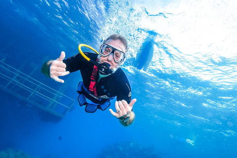 Great Barrier Reef Day Cruise From Cairns Including Snorkeling And Marine Biologist Presentation - Taree Accommodation 3