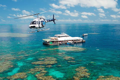 Great Barrier Reef Day Cruise From Cairns Including Snorkeling And Marine Biologist Presentation - Taree Accommodation 5