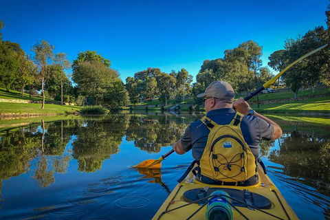 Adelaide City Kayak Tour - Taree Accommodation 5