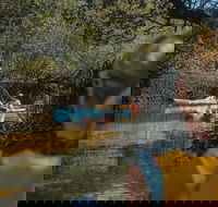 Kayak Tour in Adelaide Dolphin Sanctuary - Taree Accommodation