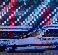 Evening Rainforest  Glow Worm Experience - Taree Accommodation