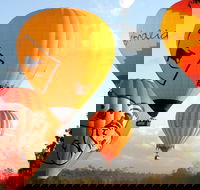 Natural Bridge  Springbrook Waterfalls Tour  Hot Air Balloon with Breakfast - Taree Accommodation