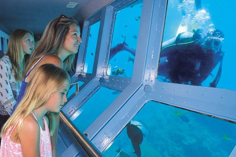 Quicksilver Outer Great Barrier Reef Snorkel Cruise From Palm Cove - Taree Accommodation 0