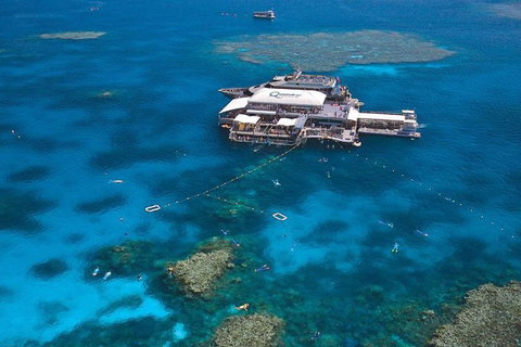 Quicksilver Outer Great Barrier Reef Snorkel Cruise From Palm Cove - Taree Accommodation 1