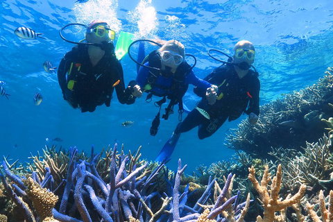 Quicksilver Outer Great Barrier Reef Snorkel Cruise From Palm Cove - Taree Accommodation 3