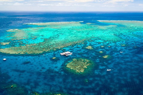 Quicksilver Outer Great Barrier Reef Snorkel Cruise From Palm Cove - Taree Accommodation 4