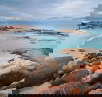 Wineglass Bay Private Charter Service - Taree Accommodation